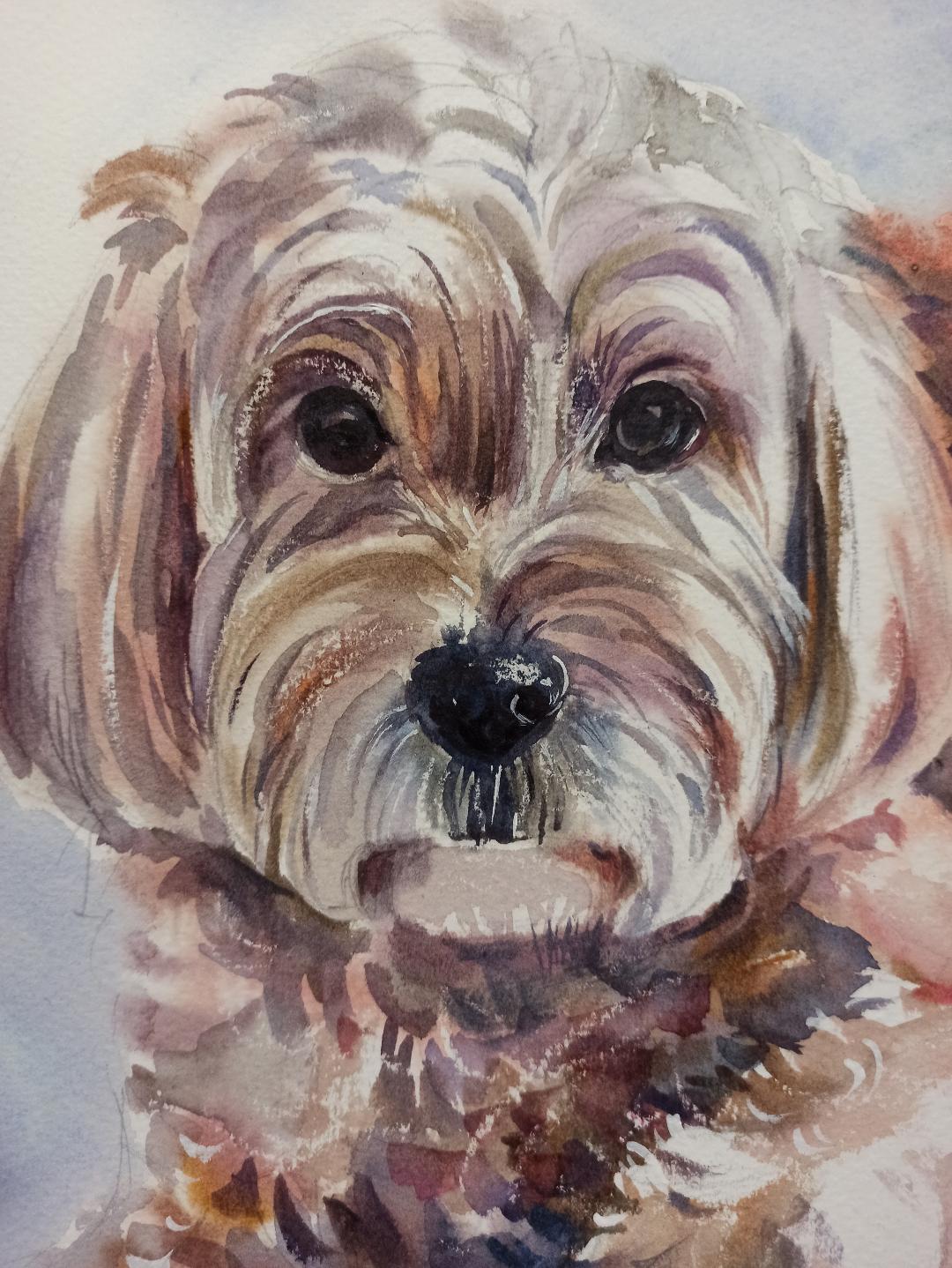 Oliver. Pet Portrait original watercolour painting.